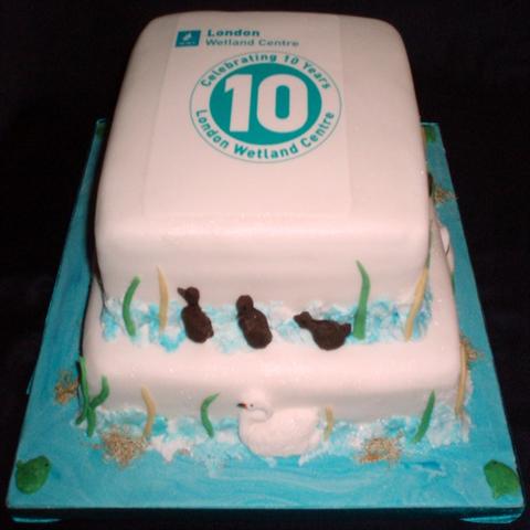 London Wetland Centre Concept Cake